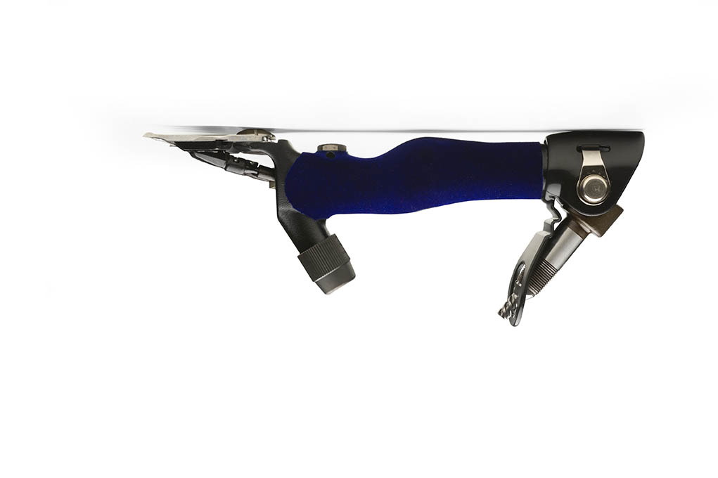 scorpion-side-on